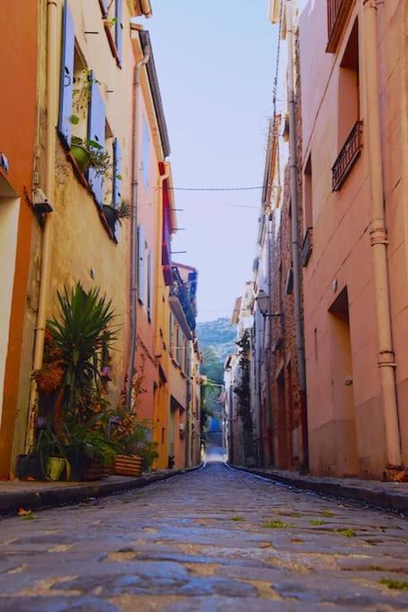 Au Coeur De Ville Avec Terrasse Céret Zewnętrze zdjęcie