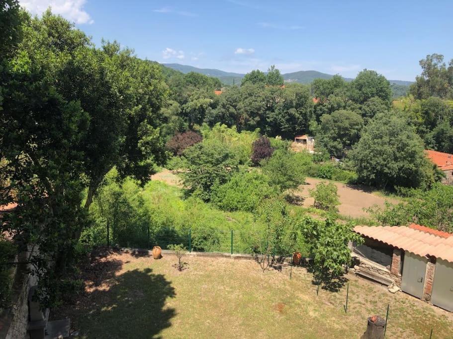 Au Coeur De Ville Avec Terrasse Céret Zewnętrze zdjęcie